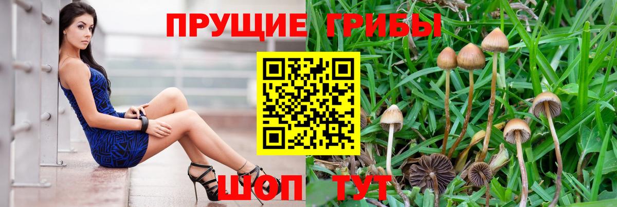 Псилоцибиновые грибы GOLDEN TEACHER Ливны
