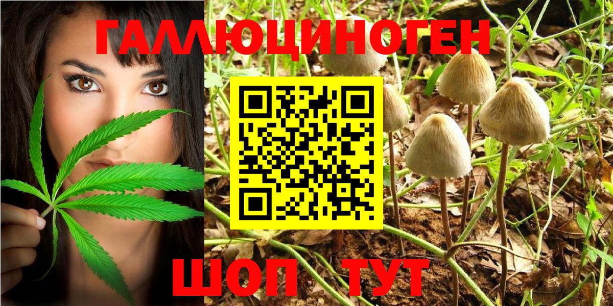 Ливны  Псилоцибиновые грибы Psilocybine cubensis  Вход с VPN 