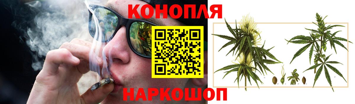 Бошки Шишки сатива Ливны